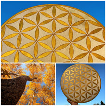 16’ Golden flower of Life drum, Shaman drum, deer skin drum, small size drum, Medicine drum
