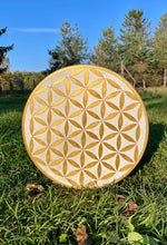 16’ Golden flower of Life drum, Shaman drum, deer skin drum, small size drum, Medicine drum