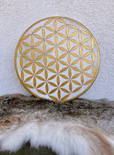 16’ Golden flower of Life drum, Shaman drum, deer skin drum, small size drum, Medicine drum