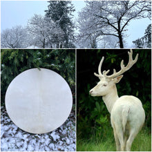 24” White Magic Drum,Deer spirit drum, Shamanic Drum, Medicine drum, Large size shaman-drum , Handmade drum