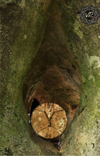 22” spotted natural skin drum , spirit drum, Shamanic Drum, Medicine drum, Large size shaman-drum , Handmade drum