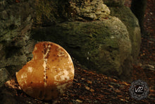 22” spotted natural skin drum , spirit drum, Shamanic Drum, Medicine drum, Large size shaman-drum , Handmade drum