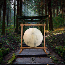 Gong Drum, Large size drum, 36” drum with stand